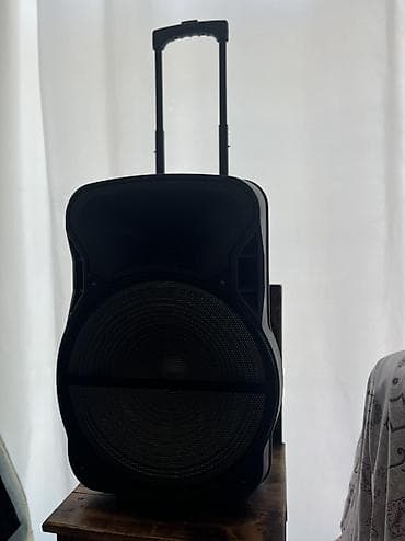 Daşınan təkərli akustik kolonka - Güclü ön bass dinamikli, geniş