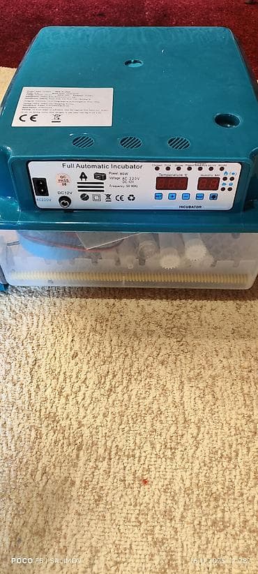 inkubator motor: 50 yumurta, Çin, Tam avtomat — 1