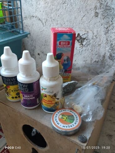 домики для кошек баку: Qəfəslər — 2