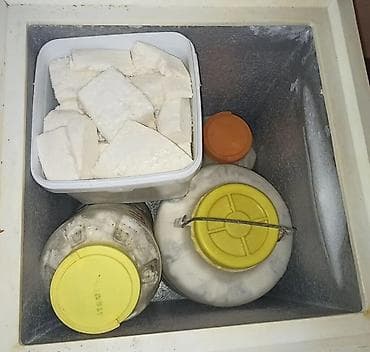 inək sudu: Süd-1.20 . qatıq 1.30. Şəmkir Qaryağdı.Təbriz küçəsi. Təbii kənd süd — 3