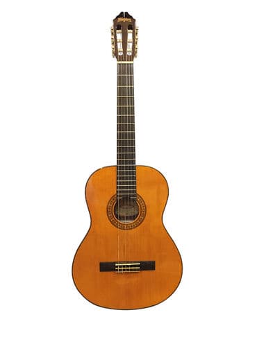 gitara washburn: Washburn.Klassik gitara.Çanta hədiyyə — 1