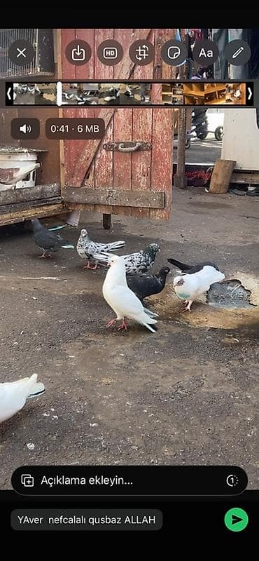 250manata 70qusdur. kim istese yazsin. reaı aliciya endirim olacax