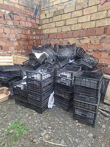 Plastik tara/yeşiklər – topdan Məhsul təsviri: - Material: möhkəm