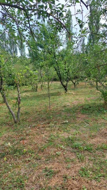 сайты недвижимости в баку: 16 соток, Для строительства, Собственник, Купчая — 7