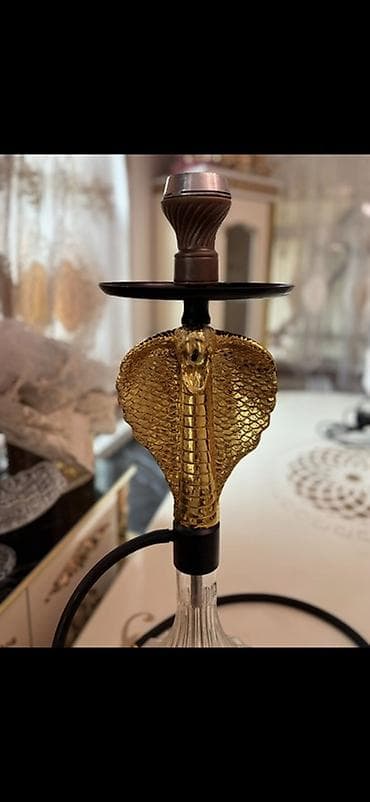 işlənmiş qəlyan: Tecili satilir evde cekirdim isletmirem daha unvan zabrat — 2