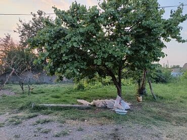 20yanvarda kiraye evler: 4 otaqlı, 20 kv. m, Kredit yoxdur, Orta təmir — 5