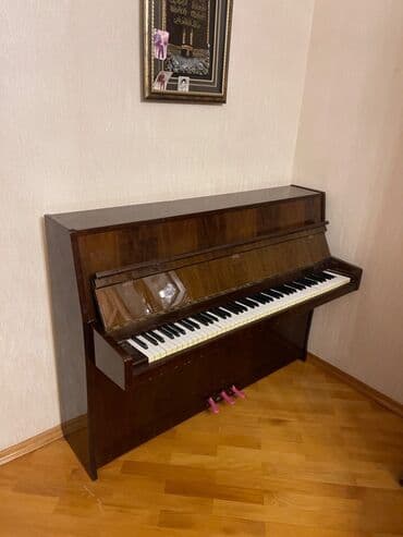 piano şekilleri: Piano, Petrof, Akustik — 3