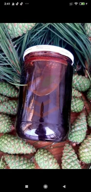 Şam qozası bəhməzi Öskürəyə nəfəs darlığına son. Evdə təbii yolla