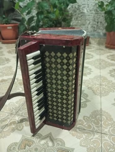 Yaylı alətlər: Akustik Akkordeon — 3