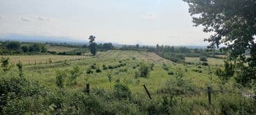 mağaza üçün yer icarəyə götürürəm: Ünvan: Qusar şəhəri Ləyər kəndi (ləzgi ləyər) 1hk 68 sot bağ yeri — 11