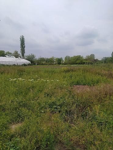 ev sekli: 3 otaqlı, 250 kv. m, Orta təmir — 9