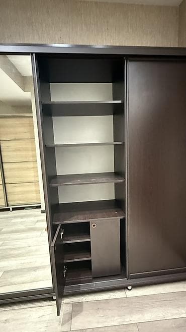 canavar dərisi: 3 qapılı, Güzgülü, Qara, Digər material, Kupe, Düz dolab — 4