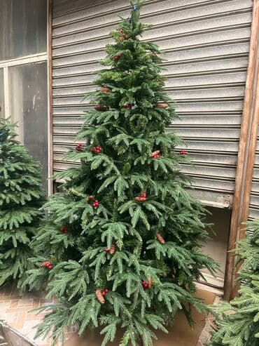 yolka ucuz: 150-100 180-150 210-200 240-250 270-350 300-450 Çatdırılma xidmətimiz — 2