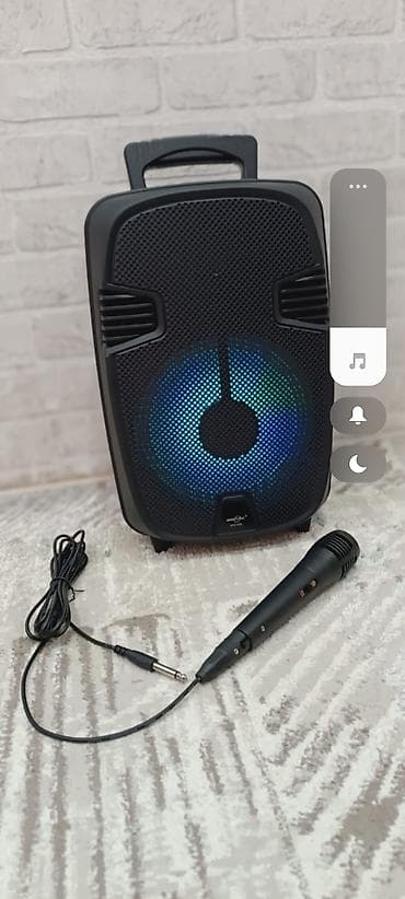 Portativ karaoke səsgücləndiricisi və mikrofon dəsti - Tək korpuslu