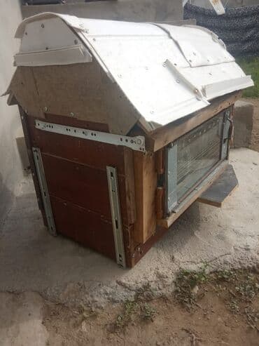 Yuvalar: Quş dam En 42 Sant uzunluğu 72 sant hündürlüyü 66 sant iç izaleyasiya — 9