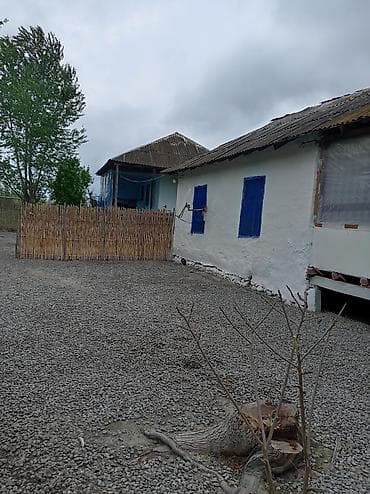 ikinci el barbi evi: Heyetde iki ev var 68sotdur baglari var qiymet 2000. Amma razilasma — 1