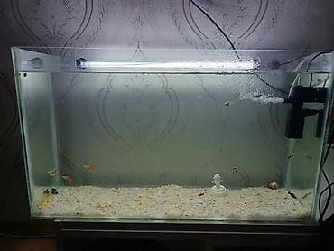 Akvarium boş satılır uz70 en 23 hun 40