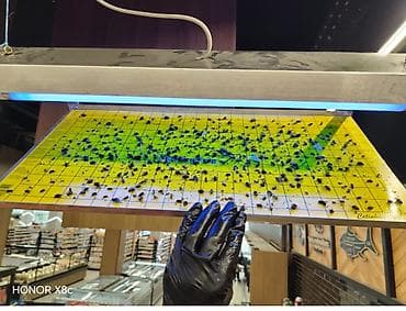 dilimleme aparatı: Həşərat öldürən, Yeni, Ünvandan götürmə, Pulsuz çatdırılma, Ödənişli çatdırılma — 5