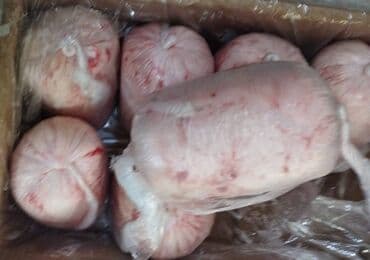 Quzu quyruğu (erkək) Avstraliya istehsali 1-ci növ (tullantısız) 1