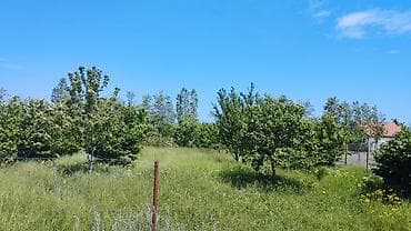 продажа дачных участков в баку: Для строительства — 3