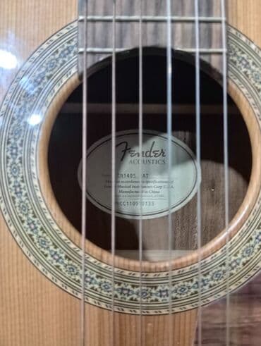 Akkordeonlar: Klassik gitara, Fender — 5