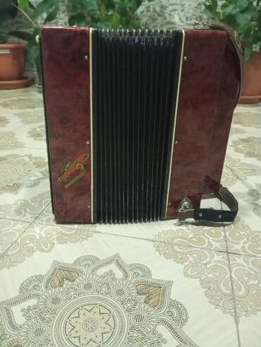 Yaylı alətlər: Akustik Akkordeon — 5