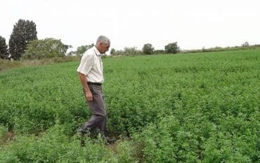 goradil torpaq: 112 sot, Kənd təsərrüfatı, Mülkiyyətçi, Kupça (Çıxarış) — 2