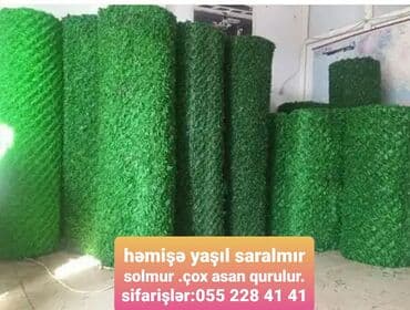 tuya ağacı faydaları: Sarmaşıq .süni sarmaşıq.qazon. süni qazon — 1