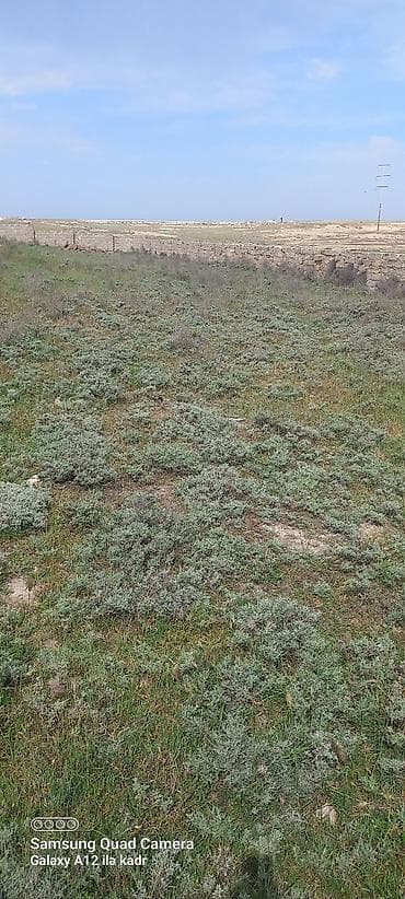 qecresde torpaq satilir: 2000 sot, Tikinti — 3