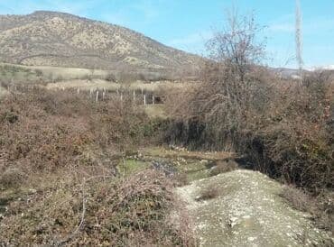 xacmazda satılan evlər: 19 sot, Kənd təsərrüfatı, Mülkiyyətçi, Kupça (Çıxarış) — 8