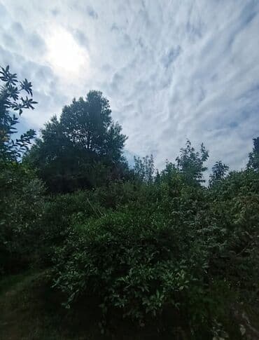 ismayillida satilan evler: 4 otaqlı, 95 kv. m, Kredit yoxdur, Orta təmir — 1