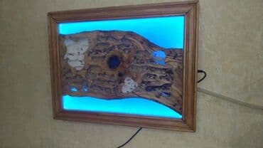 it üçün ev: Hər ölçüdə hər dizaynda qarışqa yuvaları yığılır səliqəli və təmiz — 9