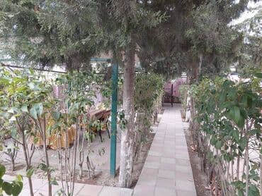 arenda kafelər: Əhmədli metrosunun yaxınlığında yol kənarı, 7sot həyət sahəsi — 11