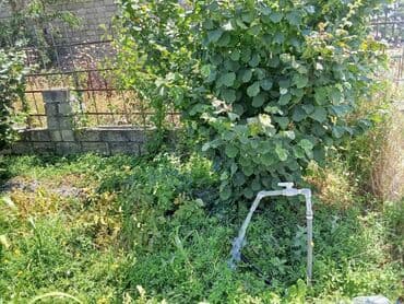 xırdalan kirayə evlər 3 otaqlı: 8 sot, Tikinti, Mülkiyyətçi, Texniki pasport — 6