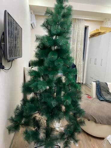 Süni şam ağacı – iri ölçülü, klassik konus formalı. Uzun, yumşaq