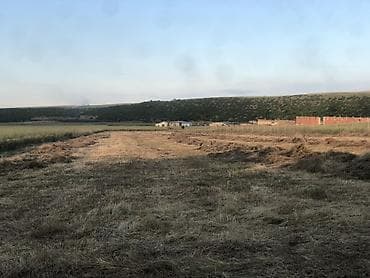 bine qesebesinde ev: 82 sot, Kənd təsərrüfatı — 3