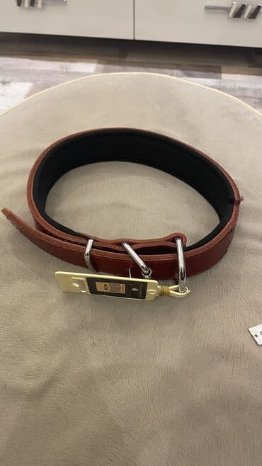 itler ucun xaltalar: İt xaltası yenidi heç taxılmayıb bahalı xaltadı maraqlanan bilən bilər — 2