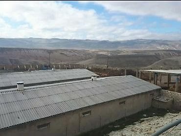 otaq: Ferma kompleksi – heyvandarlıq və quşçuluq üçün hazır infrastruktur — 3