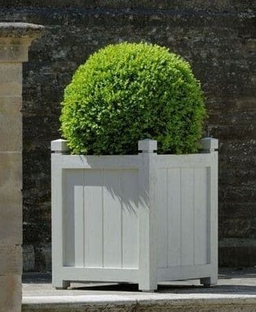 Taxta sexi. 📍Ünvan : Qala #Dibçək #Dibçək #Güldan #Güldan #Agac #Agac