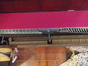 piano dərsləri: Piano, Belarus, Akustik — 3