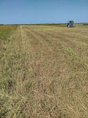 Digər nəqliyyat: Süper şum eliyir — 4