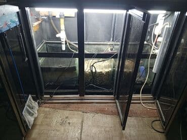 фильтр для аквариума: Akvaryum komplekti – şkaflı, sump filtrasiyalı - Şəffaf ön və yan — 1