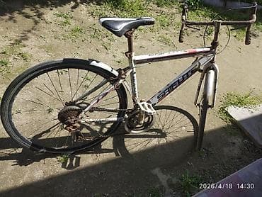 Velosiped – Saifute (sağ-sol çərçivədə “Saifute” yazısı). Şose tipli