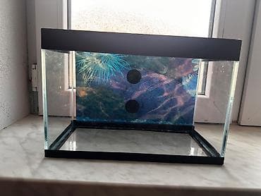 betta balığı: Dördbucaq akvarium, Boş, 9 l, Ödənişli çatdırılma — 3
