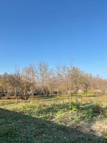 Qarajlar: 17 sot, Tikinti, Mülkiyyətçi, Kupça (Çıxarış) — 8