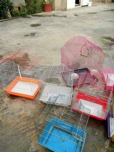 qəfəsi: Müxtəlif ölçülü və rəngli, müxtəlif quş növləri üçün uyğun olan bir — 1