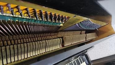 belarus pianino: Piano, Belarus, Akustik — 5