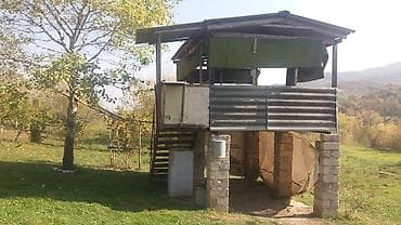 samaxi villa kiraye: 580 sot, Kənd təsərrüfatı, Makler, Kupça (Çıxarış) — 6