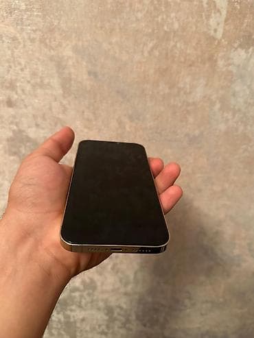 iphone 6s satilir: IPhone 12 Pro Max, 128 ГБ, Золотой, Face ID — 7