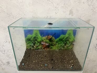 baliq akvarum: Dördbucaq akvarium, Boş, 90 l — 3